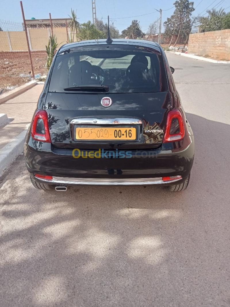 Fiat 500 2024 Club Oran Algérie