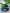 voitures-dacia-sandero-2019-stepway-blida-algerie