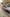 voitures-renault-clio-4-2018-gt-line-aflou-laghouat-algerie