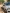 voitures-renault-clio-2-2000-chlef-algerie