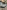 voitures-volkswagen-golf-7-2018-r-line-baba-hassen-alger-algerie