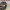 voitures-fiat-tipo-sedan-2025-business-setif-algerie