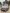 voitures-volkswagen-golf-8-2021-gte-draria-alger-algerie