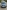 voitures-volkswagen-golf-7-2019-draria-alger-algerie