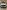 voitures-volkswagen-tiguan-2023-move-alger-centre-algerie