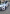 voitures-kia-picanto-2018-gt-line-chlef-algerie