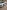 voitures-volkswagen-golf-7-2019-start-mostaganem-algerie