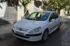 Peugeot 307 2002 307