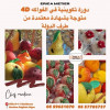 Formation fruits 4D