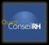 Conseil & Accompagnement RH