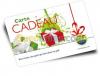 Impression carte PVC