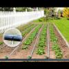 L'irrigation goutte a goutte jardinage