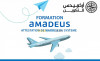 Formation Amadeus 3 Niveaux