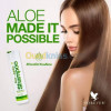 Aloe jojoba shampoo شامبو الو جوجوبا 