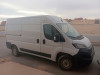 fiat ducato l2 h2 2024