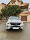 Mercedes ML 2013 250 CDI Pack AMG