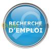 Chef des ventes, Responsable commercial, etc.