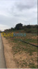 Vente Terrain Mostaganem Kheireddine