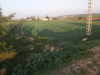 Vente Terrain Tlemcen Zenata