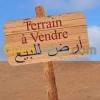 Vente Terrain Saida Ouled brahim