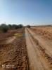 Vente Terrain Agricole Biskra Oumache