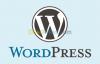 Conception de site wordpress 