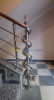 Rampe d'escalier en inox