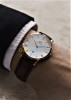  Montre Daniel Wellington et Rolex