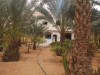 Vente Villa Ghardaia Dhayet bendhahoua