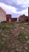 Vente Terrain Tlemcen Souahlia