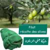 Filet récolte des olives 30m × 3m 