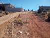 Vente Terrain Tlemcen Souahlia