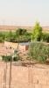 Vente Terrain Agricole Bechar Beni ounif