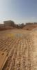 Vente Terrain Ghardaia Berriane