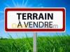 Vente Terrain Tipaza Attatba