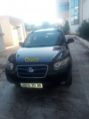 Hyundai SantaFe 2011 