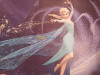 Poster reine des neiges 3m sur 2,50m