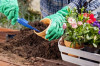 Travail dans pépiniére, botanique, magasin specialisé en jardinerie