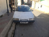 Citroen ZX 1995 Avantage