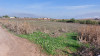 Vente Terrain Mila Sidi merouane