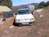 Peugeot 309 1989 309