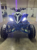 Yamaha Raptor 700 R 2013