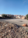 Vente Terrain Tlemcen Tlemcen