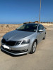 Skoda Octavia 2018 Elegance DGS