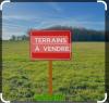 Vente Terrain Oran Arzew