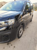 Fiat Doblo 2023 Professionnel