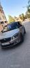 Skoda Fabia 2013 Monte carlo