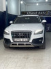 Audi Q5 2011 Off Road