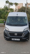 Fiat Ducato 2023