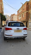 Audi Q5 2016 Off Road Pack Tech